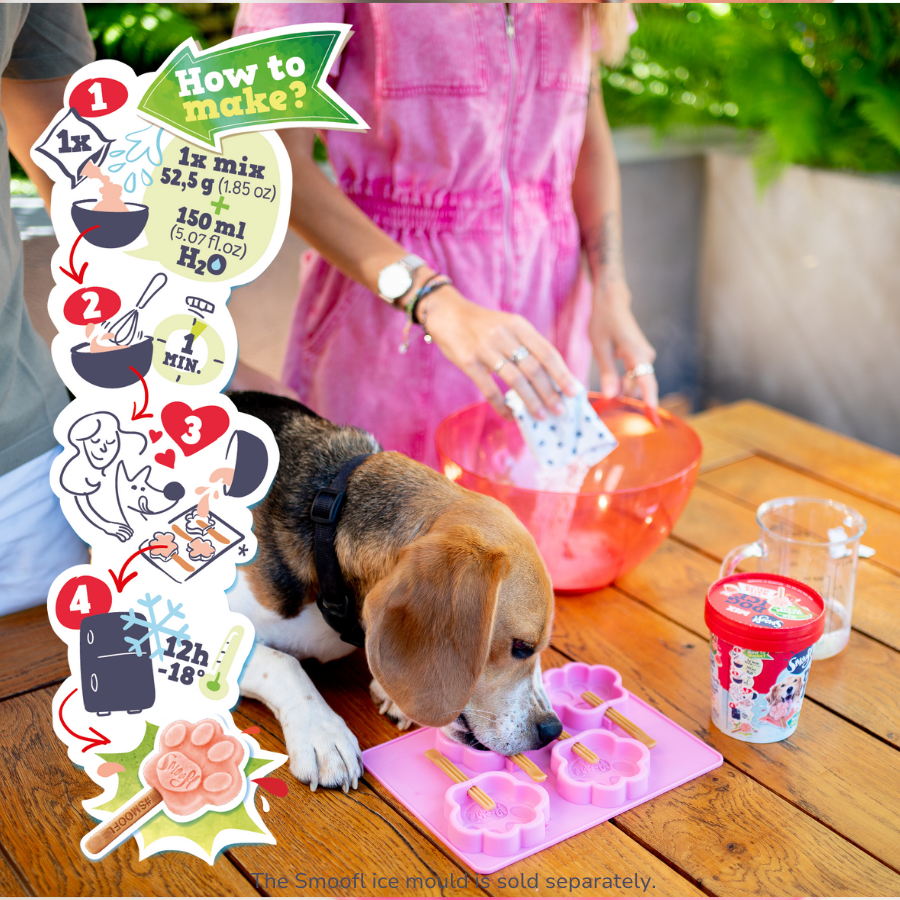 Glace pour chien PASTÈQUE