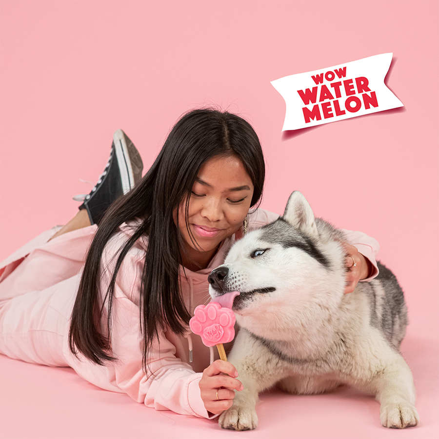 Glace pour chien PASTÈQUE