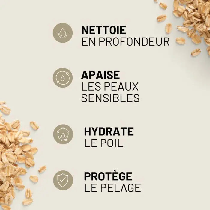 Shampoing tout pelage