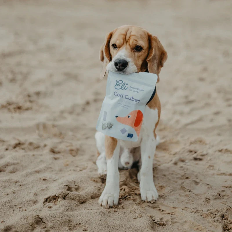 Cubes de peau de morue séchée