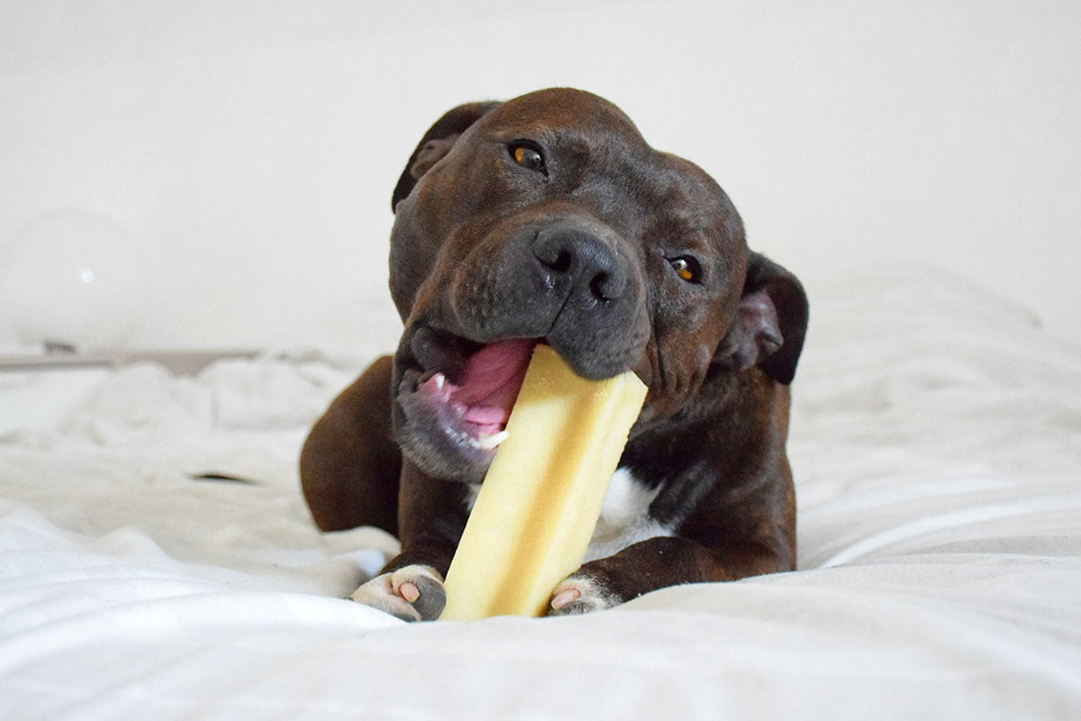 FILOU - Bâtonnet de fromage nature