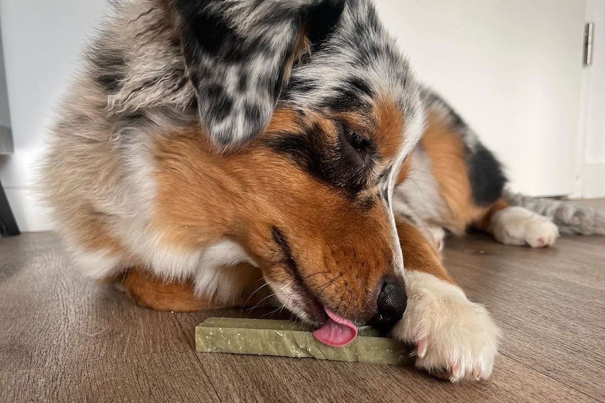 FILOU - Bâtonnet de fromage à la spiruline