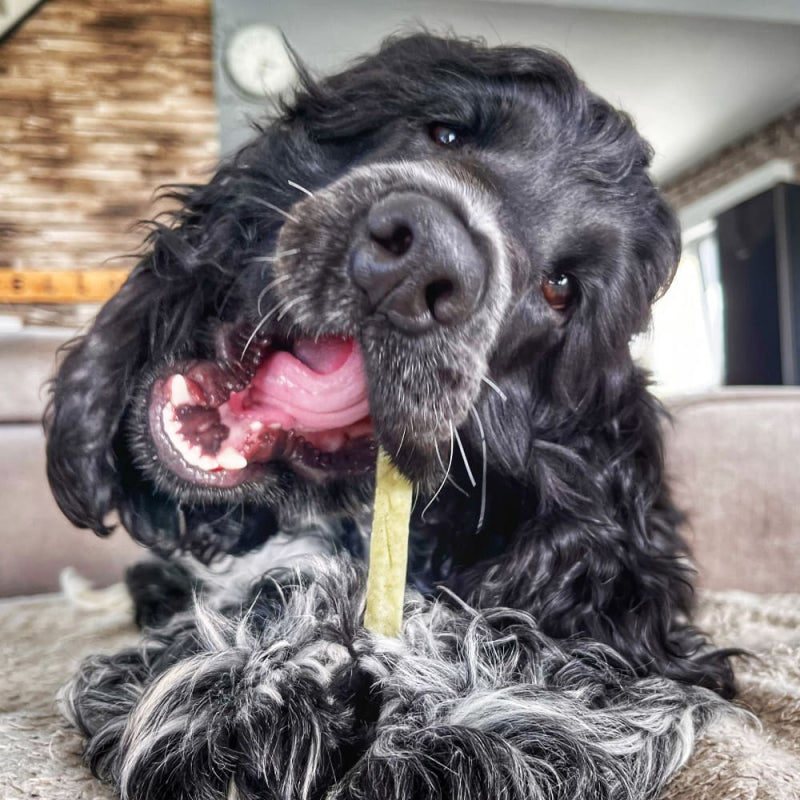 FILOU - Bâtonnet de fromage à la spiruline