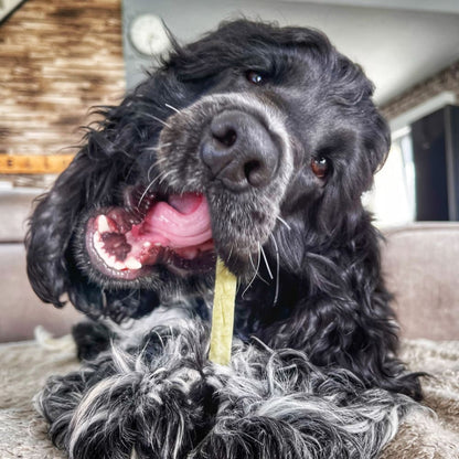 FILOU - Bâtonnet de fromage à la spiruline