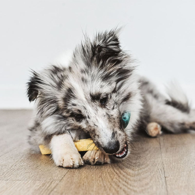 FILOU - Bâtonnet de fromage nature