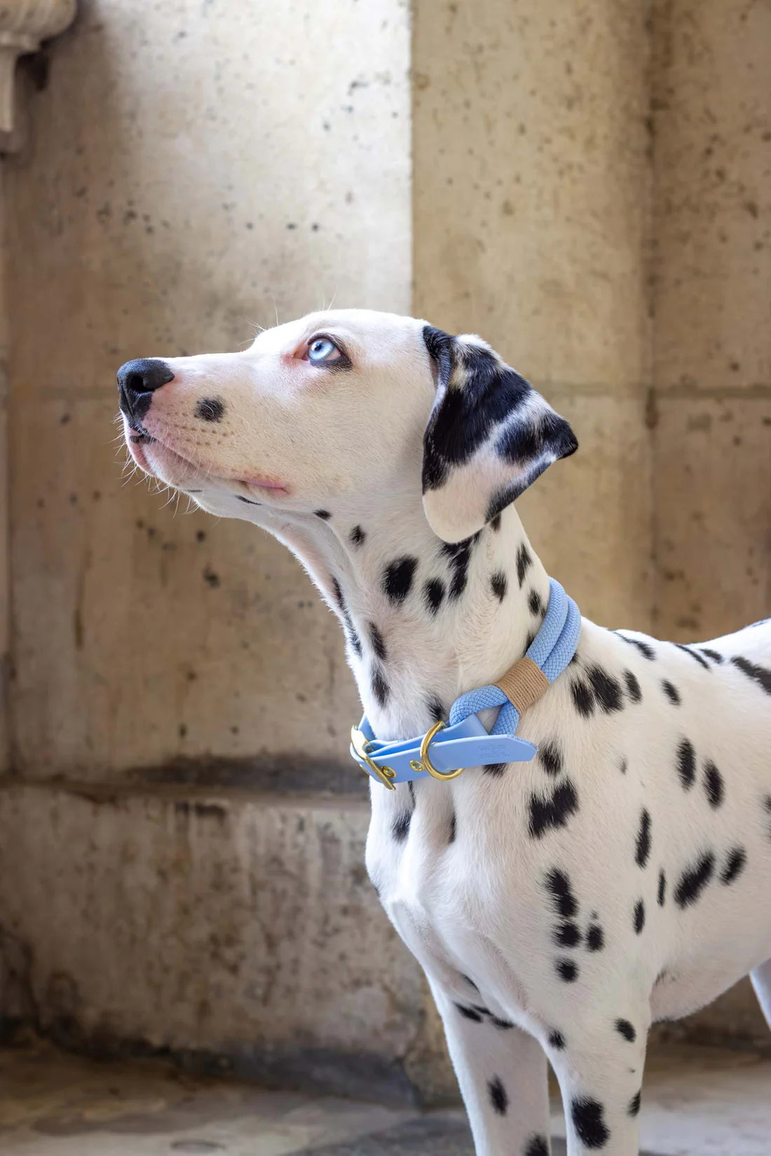 Collier en corde BLEU POLAIRE