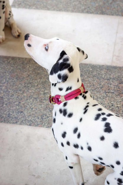 Collier en corde SANGRIA