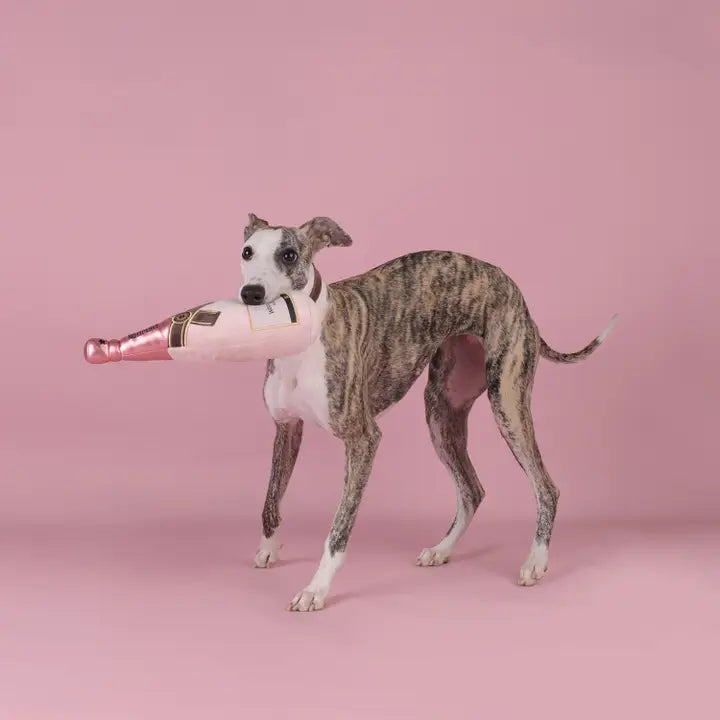 Peluche Bouteille de champagne ROSE