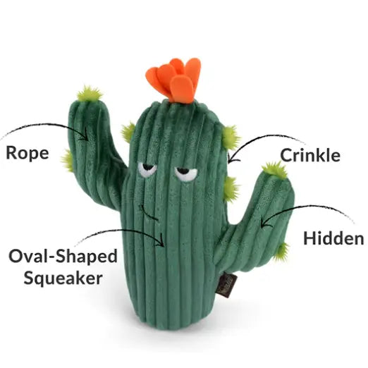 Peluche Cactus épineux