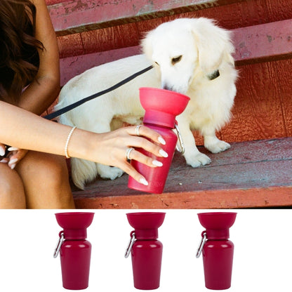Gourde d'eau de voyage Springer Flip