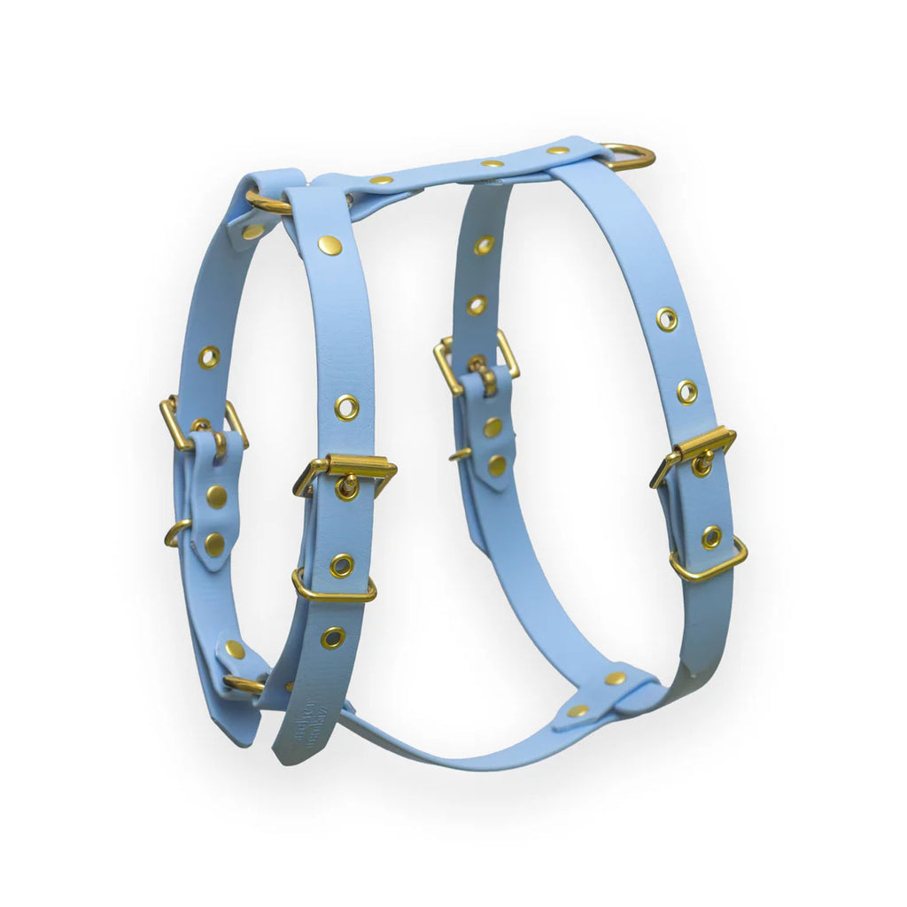 Harnais en biothane® BLEU POLAIRE
