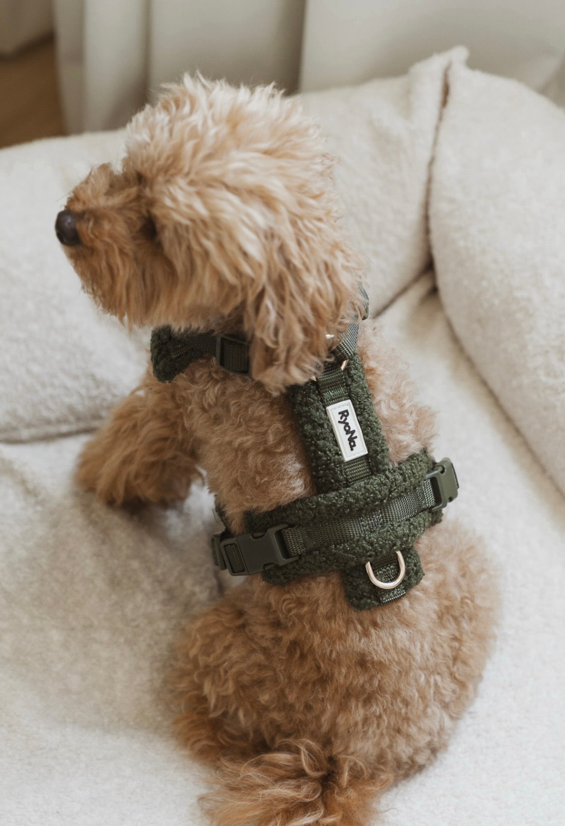 Harnais bouclé VERT OLIVE