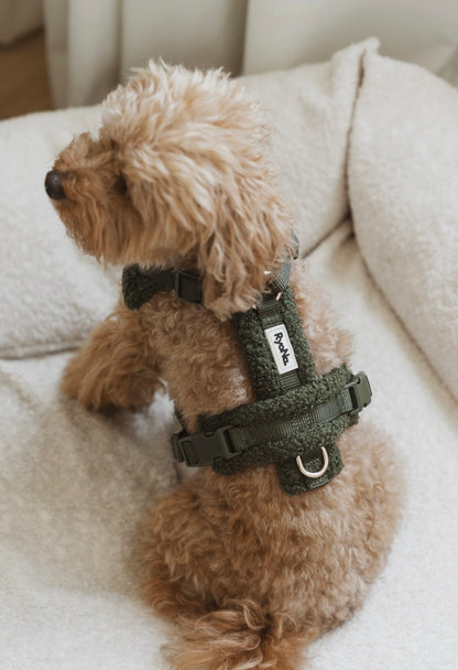 Harnais bouclé VERT OLIVE