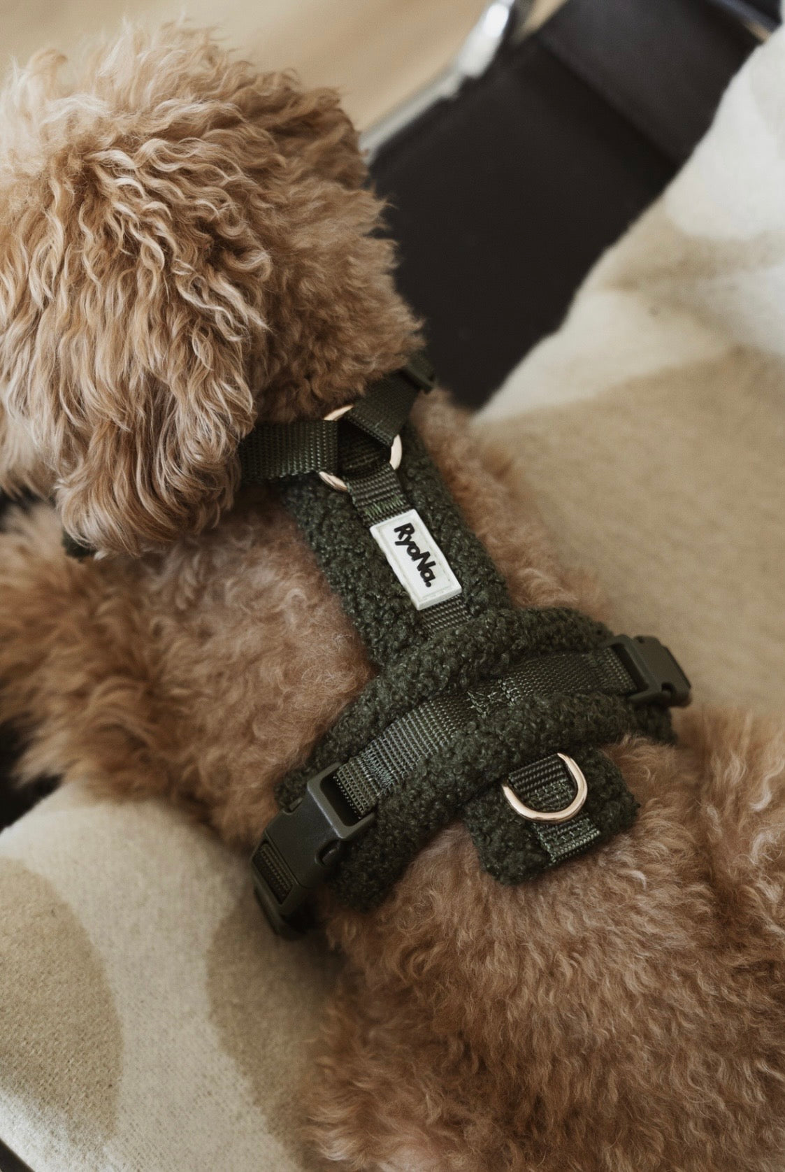 Harnais bouclé VERT OLIVE