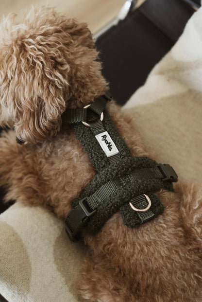 Harnais bouclé VERT OLIVE