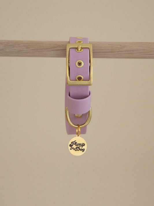 Collier waterproof LAVANDE