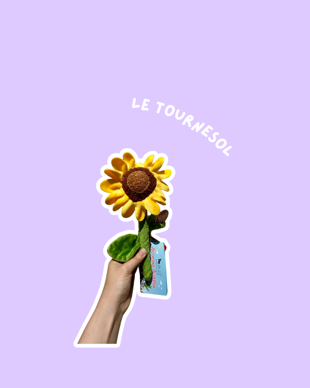 Peluche Tournesol épicé