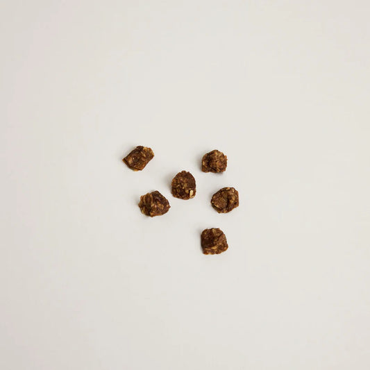 Les Pépites - CANARD