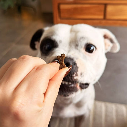 RANTANPLAN - Les friandises relaxantes